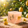 Botanica Cube